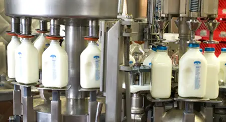 The Safety of Pasteurization Milk